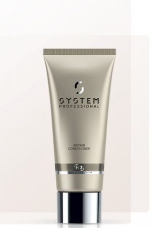 Repair Conditioner by System Professional